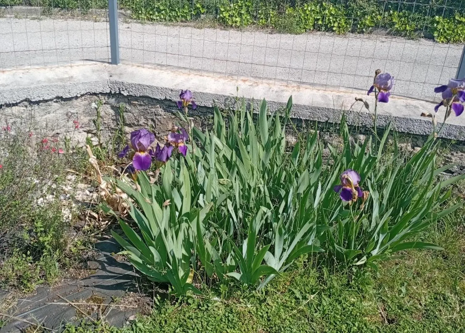 شقة La Clematite D'Olt Saint-Côme-dʼOlt